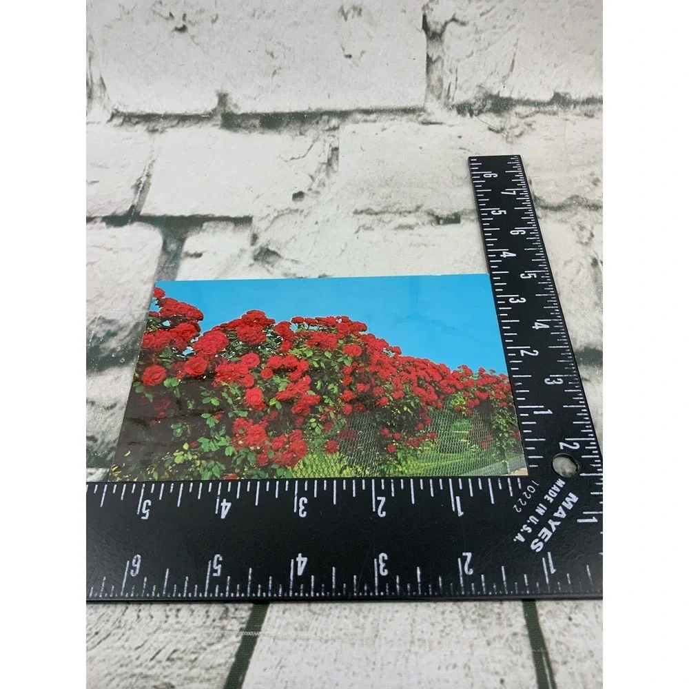 Vintage Postcard‎ Lot Ecology Keep American Beautiful Series Flower Fields